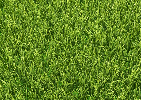 自然绿色草地纹理背景背景 — 图库照片