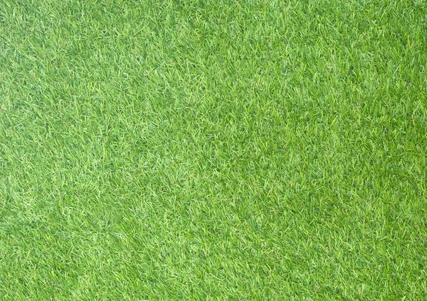 Tabiatli yeşil çim alan doku arka plan