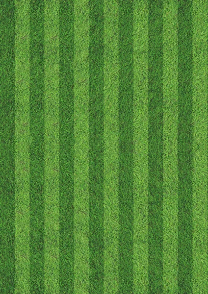 Natured herbe verte texture du champ fond de fond — Photo