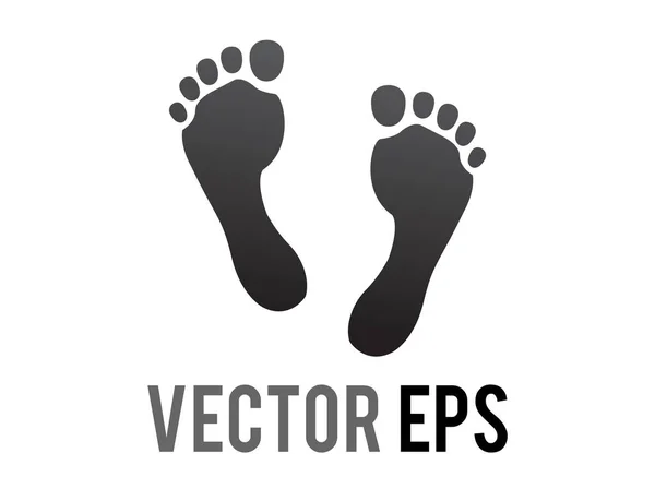 Der Isolierte Vektor Zwei Menschliche Schritte Die Beide Füße Zeigen — Stockvektor