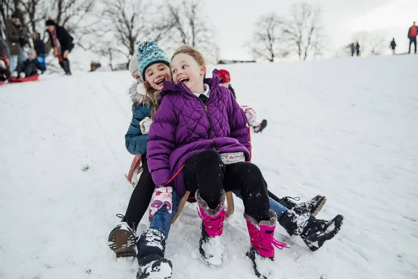 Üç küçük kız bir kızağa birlikte, karda bir tepeden aşağı gidiş oturuyorsun. 
