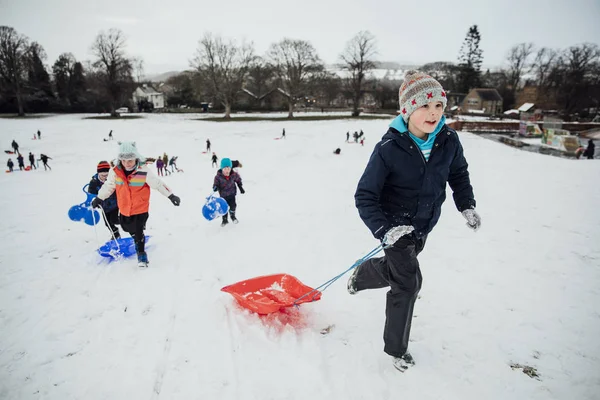 Topluluk çocuklar karda kızaklarımız birlikte bir yarış için bir tepeye çalıştırıyorsanız. 