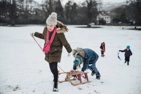 İki küçük kız bir atlı kızak bir yarış için bir tepeye gidiyoruz. Bir kız kızak yokuş yukarı çekme ve diğer kız bastırıyor.