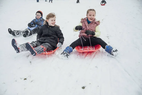 Barn Från Gemenskapen Kommer Nedför Backe Offentlig Park Slädar Snön — Stockfoto