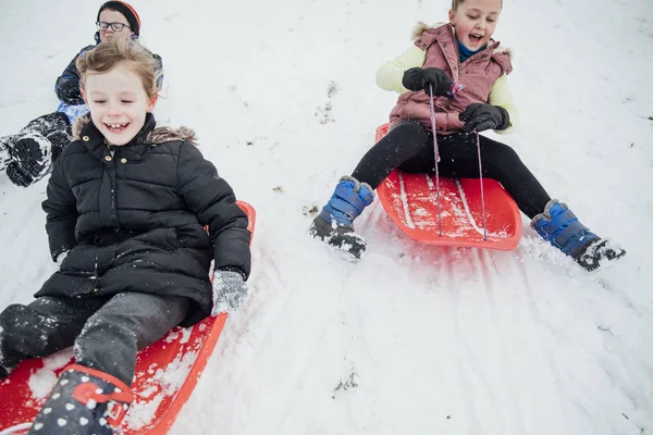 Barn Från Gemenskapen Kommer Nedför Backe Offentlig Park Slädar Snön — Stockfoto