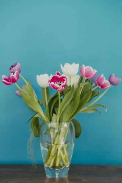 Vase of tulips on top of a side table. The colourful flowers are infront of a bold coloured teal wall.