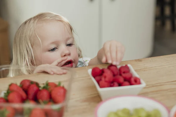 Hög Vinkel Syn Liten Flicka Raching Över Toppen Kicthen Räknare — Stockfoto