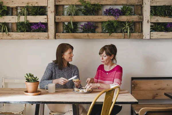 Due Amiche Donne Sedute All Interno Piccolo Caffè Rilassante Stanno — Foto Stock