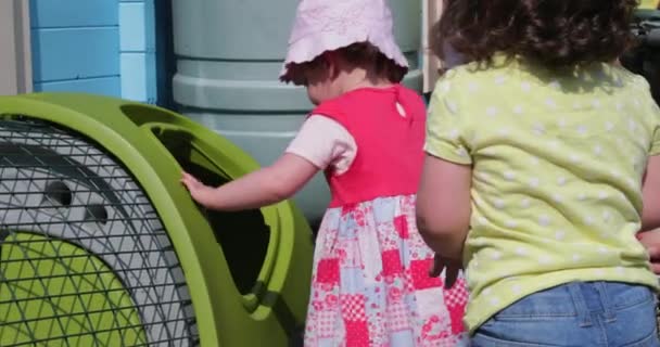 Barn Och Deras Mor Att Samla Ägg Från Hönshuset — Stockvideo