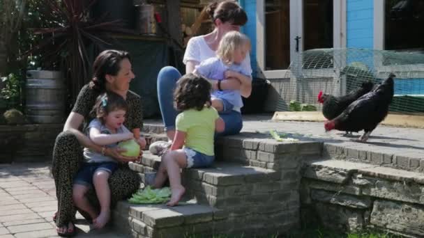 Deux Adultes Leurs Petites Filles Qui Donnent Laitue Aux Poulets — Video