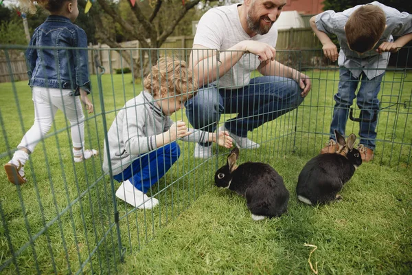 Grupo Niños Arrodillados Aire Libre Junto Corral Conejo Están Tratando — Foto de Stock