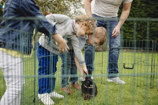 Group of children kneeling outdoors next to a rabbit pen. They are leaning over the fence to pet the rabbit.