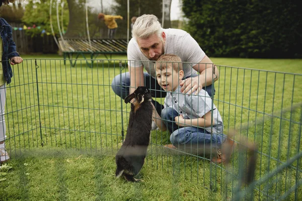 Father Son Kneeling Next Cage Pet Rabbit Standing Sniff Hands — Stock Photo, Image