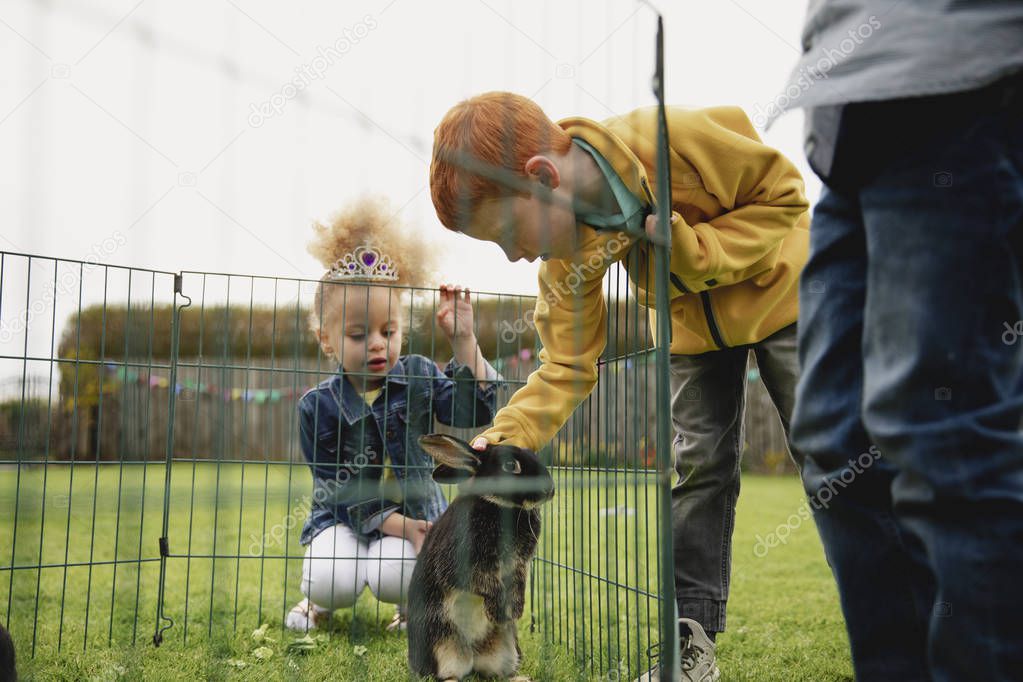Low angle view of a young boy leaning over a rabbits cage fence to stroke it. There is a little girl kneeling by the cage to see the rabbit.
