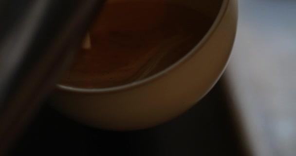 Creating Rosetta Leaf Milk Latte — Stock Video