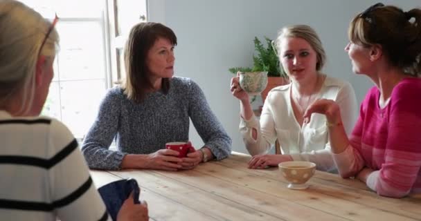 Groep Vrienden Samen Een Coffeeshop Met Een Vangst — Stockvideo