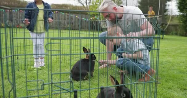 Vater Und Sohn Knien Freien Neben Einem Kaninchenkäfig Sie Füttern — Stockvideo