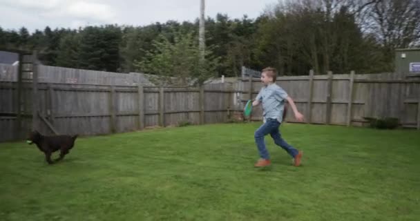 追踪一个小男孩在花园里追逐他的宠物图案谷犬的镜头 因为它带着他正在玩的网球跑了 — 图库视频影像