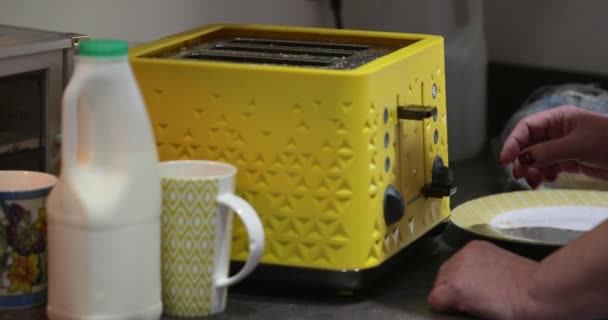 Nahaufnahme Von Toast Der Toaster Auftaucht — Stockvideo
