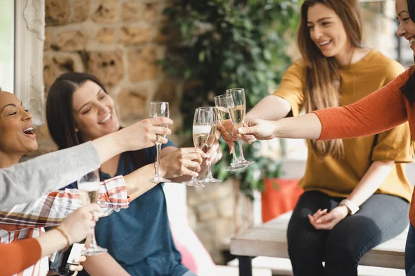 Amigos celebrando juntos —  Fotos de Stock