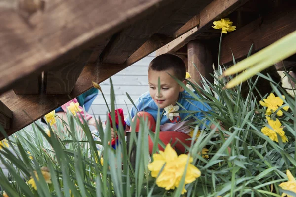 Niño jugando en los narcisos — Foto de Stock