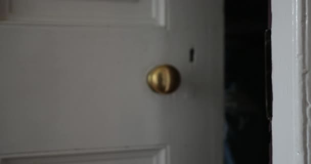家の中の昔ながらのドアとドアハンドルのクローズアップ ドアが開き 認識できない人がドアを通り抜け 閉める — ストック動画