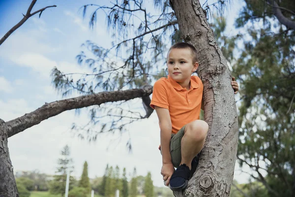 Giovane ragazzo scalare un albero — Foto Stock