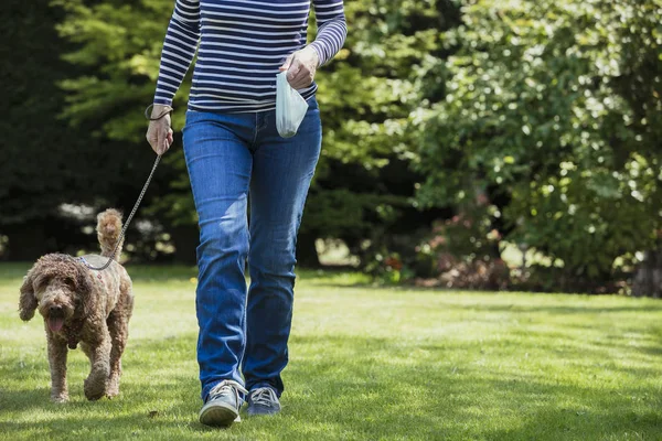 Walking the Dog — Stock Photo, Image