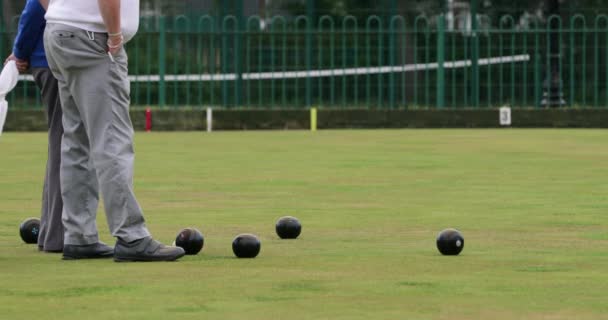 Bakifrån Bild Två Äldre Vuxna Åskådare Gräsmatta Bowling Spel Står — Stockvideo