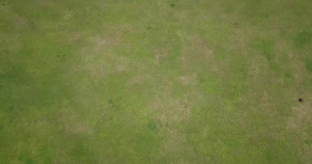 一群老朋友在草地上打保龄球的镜头正上方 一位老年妇女拍了她的镜头 — 图库视频影像