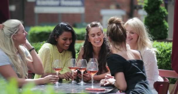 Een Groep Vrouwelijke Vrienden Die Samen Wat Drinken Een Biertuin — Stockvideo