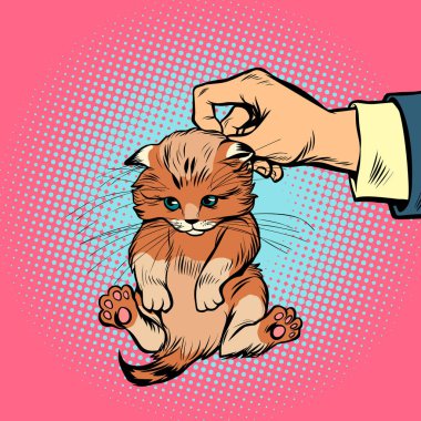 El yavru kedi tarafından scruff tutar