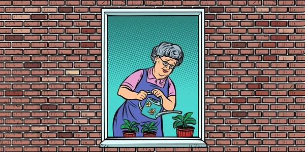 Stara kobieta w oknie podlewania kwiatów doniczkowa — Wektor stockowy