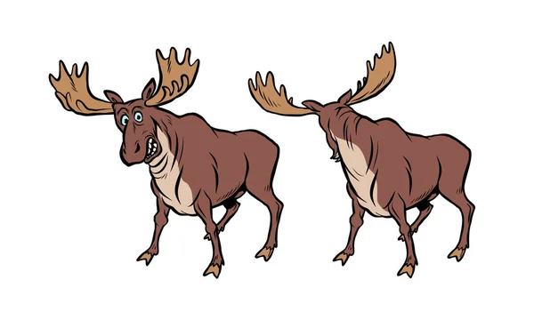 Funny moose with funny reaction — Stock Vector