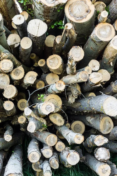 Folded Log Cabin Logging Texture Tree Background Trees — Stock Photo, Image