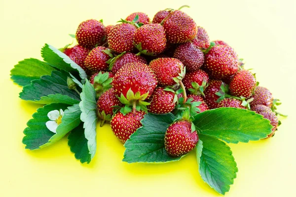 Ripe Fresh Strawberry Yellow Background — Stock Photo, Image