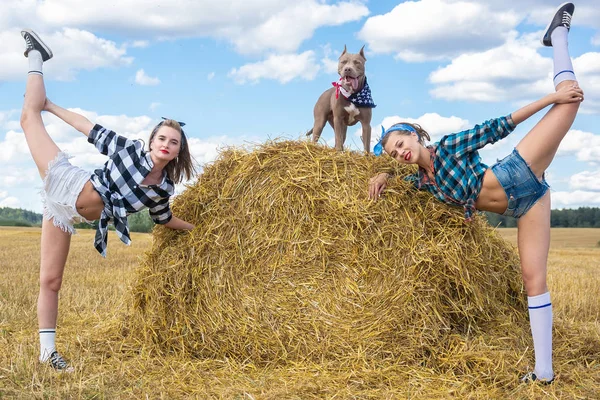 Twee Meisjes Gymnasten Hond Bij Schoof Van Hooi — Stockfoto