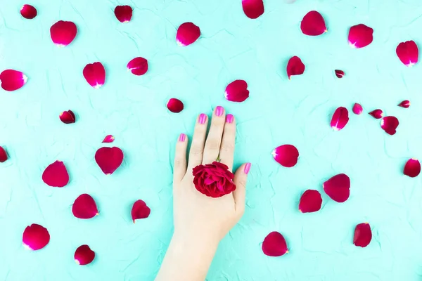 Beauty gentle hands with flowers and flower petals on blue background, hands with beautiful bright makeup and rose petals