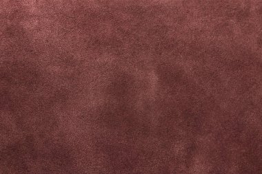 Süet kahverengi, stüdyo, konu araştırması