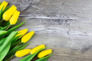ahşap zemin üzerine Sarı laleler