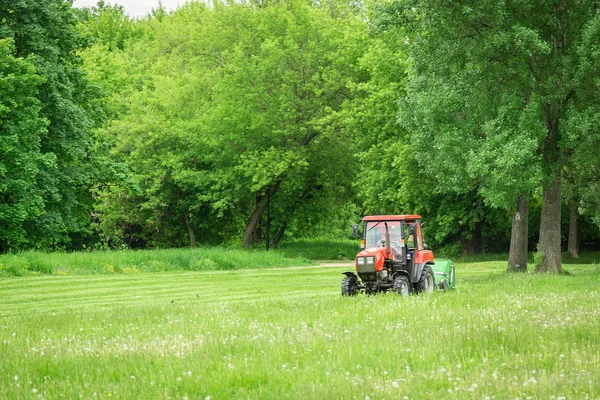 tractor lawn mower mows grass