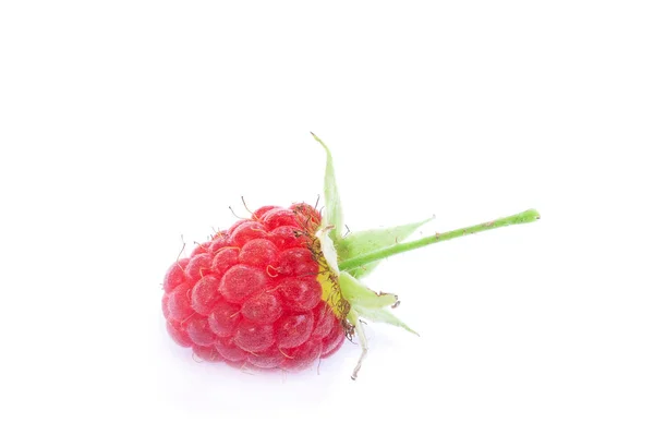 Raspberry on white background — Stock Photo, Image