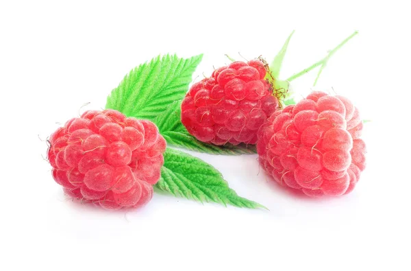 Raspberry on white background — Stock Photo, Image