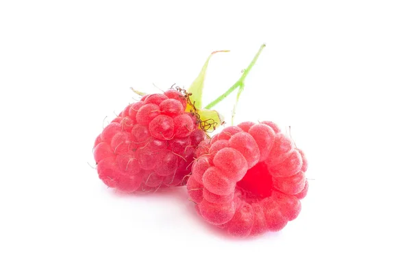 Raspberry on white background — Stock Photo, Image