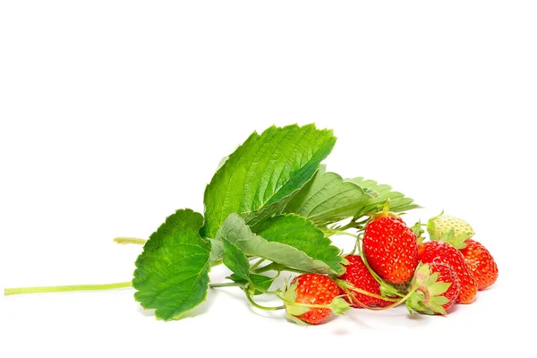 Ripe Fresh Strawberry Clipping Path Strawberry Fresh Organic Fruit — Stock Photo, Image
