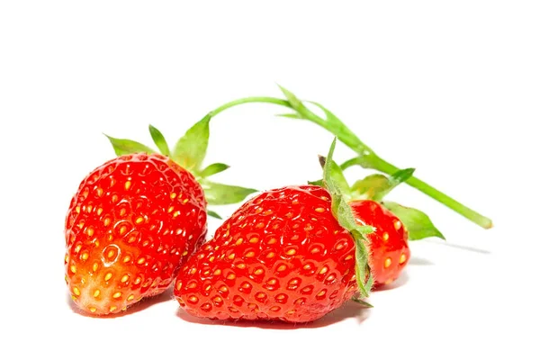 Ripe Fresh Strawberry Clipping Path Strawberry Fresh Organic Fruit — Stock Photo, Image