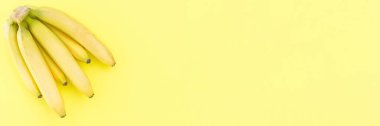 Sarı arka planda taze olgun muzlar. Fotoğraf pankartı, metin için boşluk