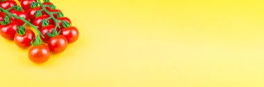 Sarı arka planda kedi vişneli domatesler, üst manzara. Fotoğraf pankartı, metin için boşluk