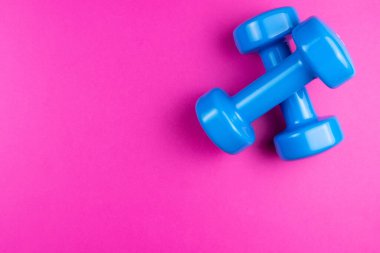 Pembe arkaplanda iki mavi dambıl, fotoğraf pankartı, üst görünüm, metin için boşluk.