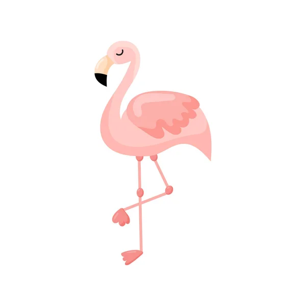 Rosa Flamingo Vektor Illustration Isolerad Vit Bakgrund Vektorillustration — Stock vektor